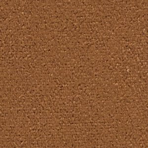 Calliiope - Image 5