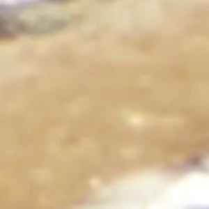 Elyiaa - Image 2
