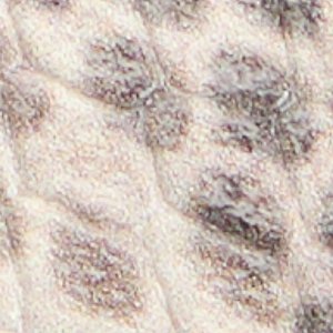 Jonnie - Image 7