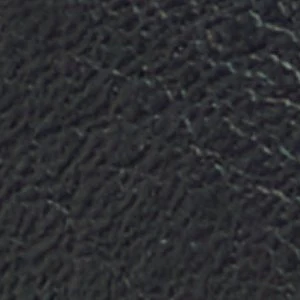 Kellen - Image 8