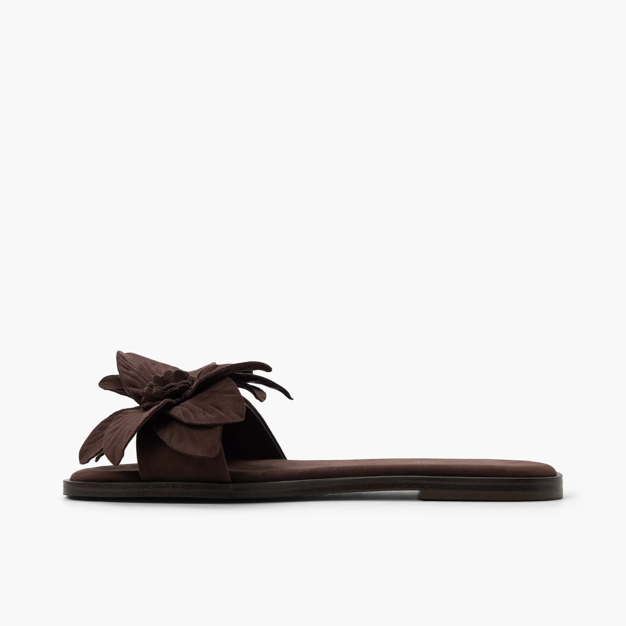 Liliaa - Image 3