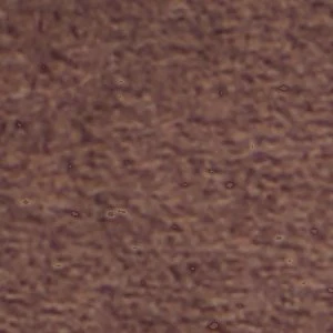 Luxe - Image 7