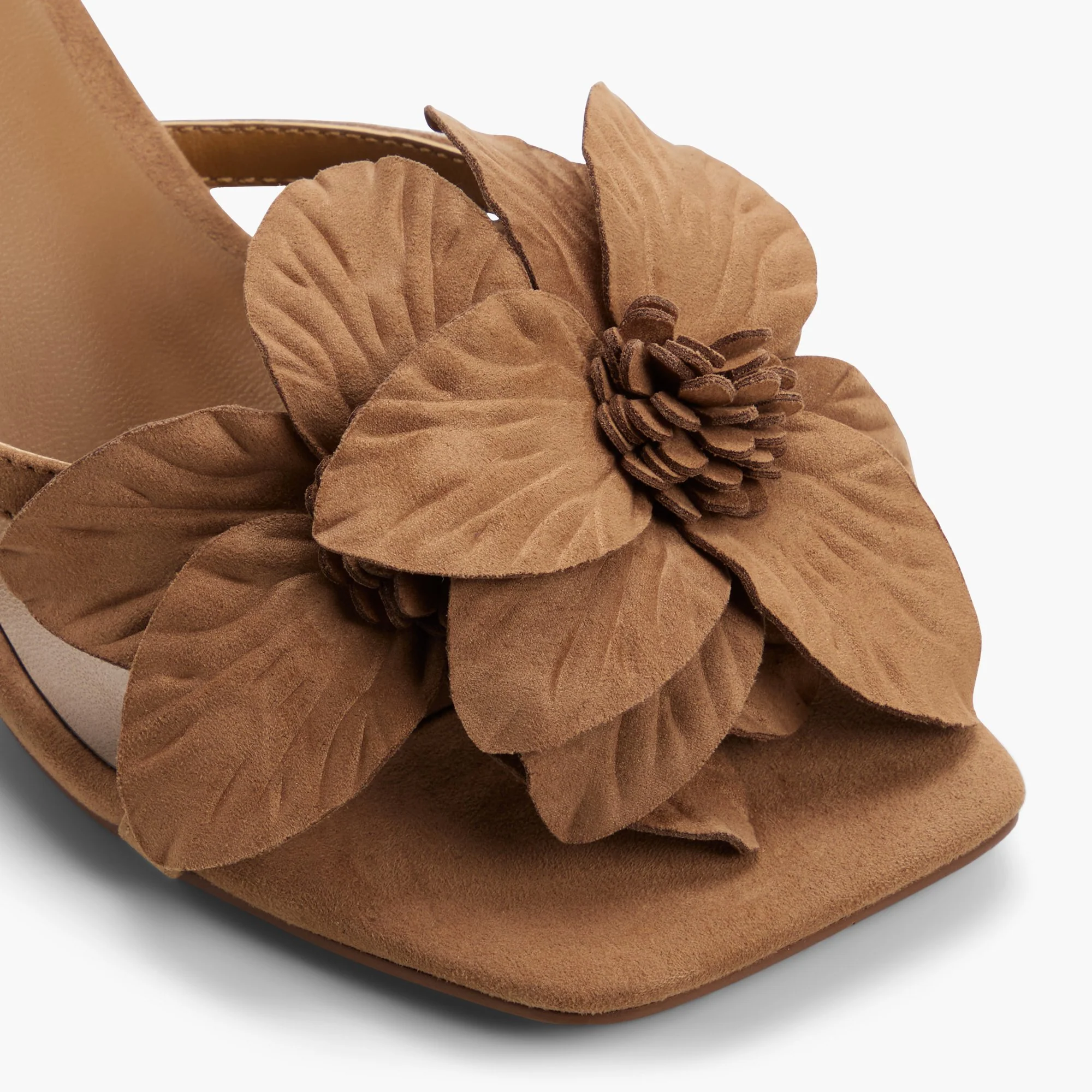 Mariposaa - Image 5