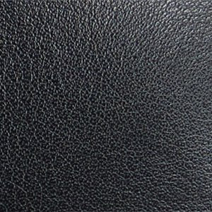 Palomia - Image 7