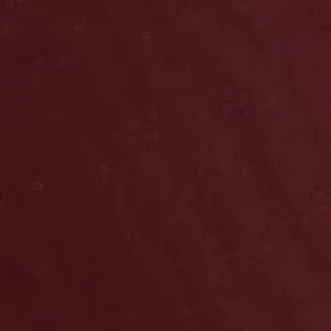 Vicki - Image 7