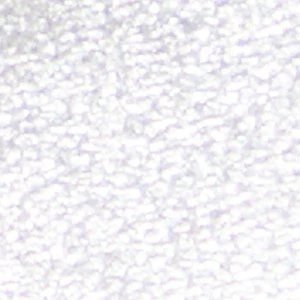 Vicki - Image 7